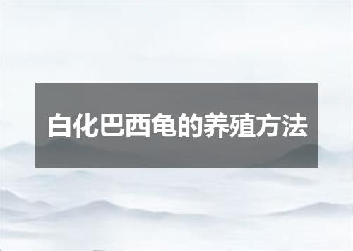 白化巴西龟的养殖方法