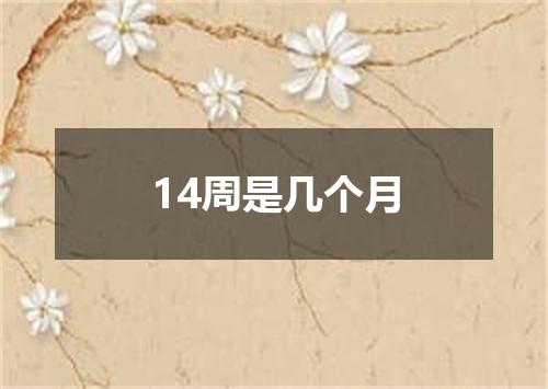 14周是几个月