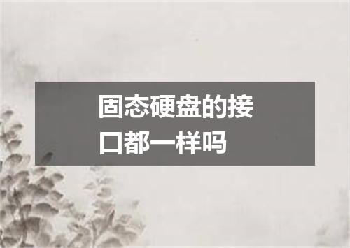 固态硬盘的接口都一样吗