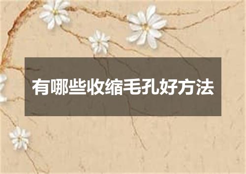 有哪些收缩毛孔好方法