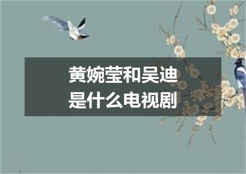 黄婉莹和吴迪是什么电视剧