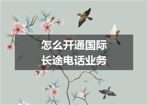怎么开通国际长途电话业务