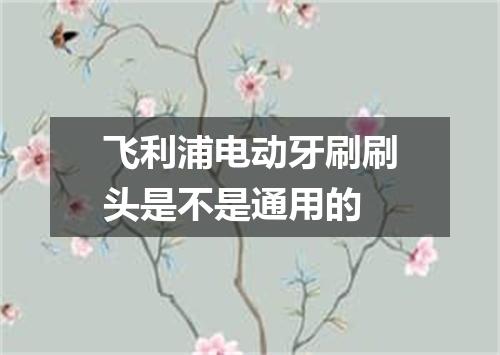 飞利浦电动牙刷刷头是不是通用的