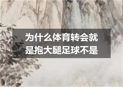 为什么体育转会就是抱大腿足球不是