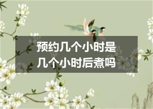 预约几个小时是几个小时后煮吗