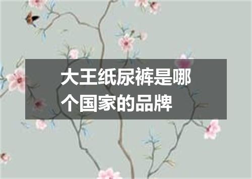 大王纸尿裤是哪个国家的品牌