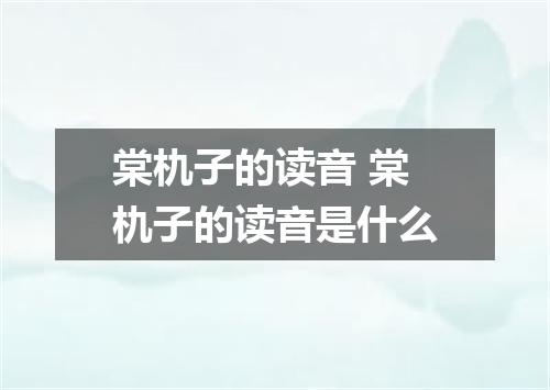 棠朹子的读音 棠朹子的读音是什么
