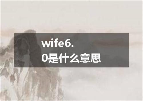 wife6.0是什么意思