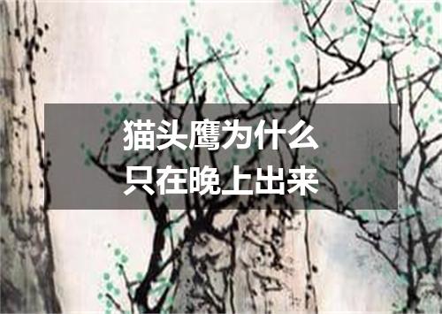 猫头鹰为什么只在晚上出来