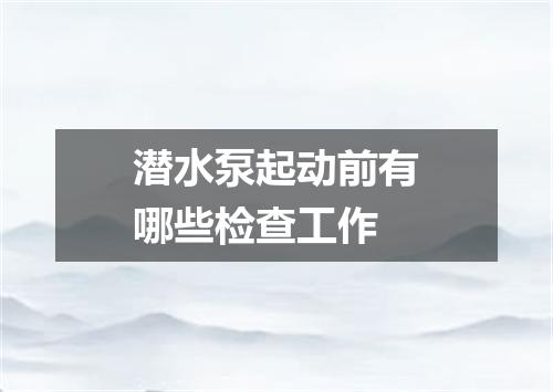潜水泵起动前有哪些检查工作