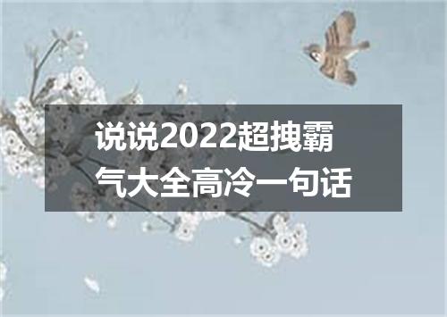 说说2022超拽霸气大全高冷一句话