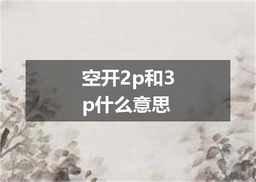 空开2p和3p什么意思