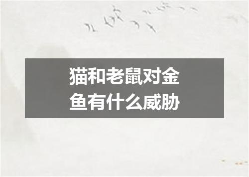 猫和老鼠对金鱼有什么威胁