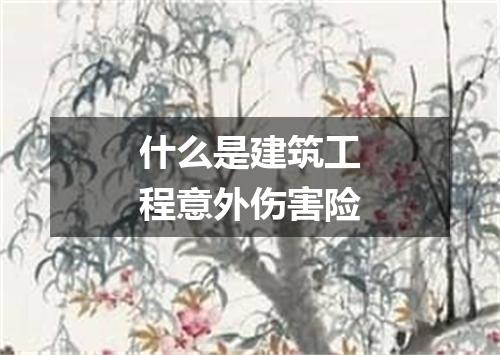 什么是建筑工程意外伤害险