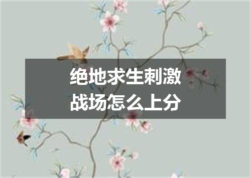 绝地求生刺激战场怎么上分