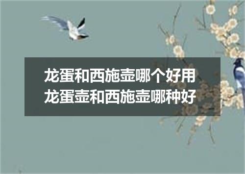 龙蛋和西施壶哪个好用 龙蛋壶和西施壶哪种好