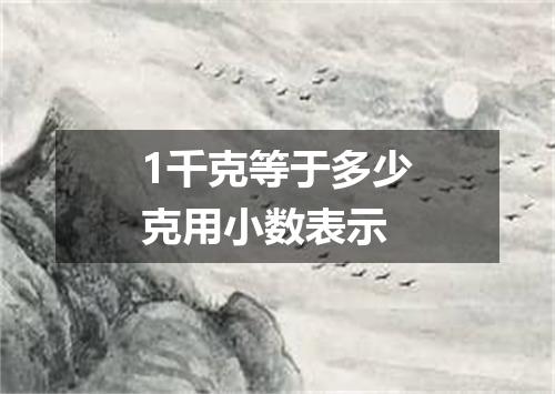1千克等于多少克用小数表示