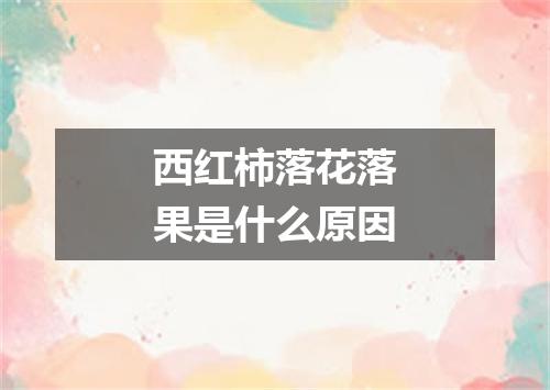 西红柿落花落果是什么原因