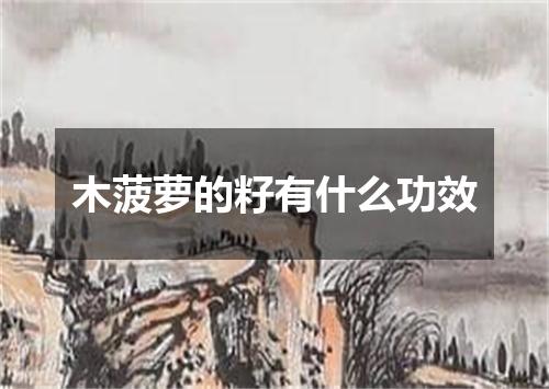 木菠萝的籽有什么功效