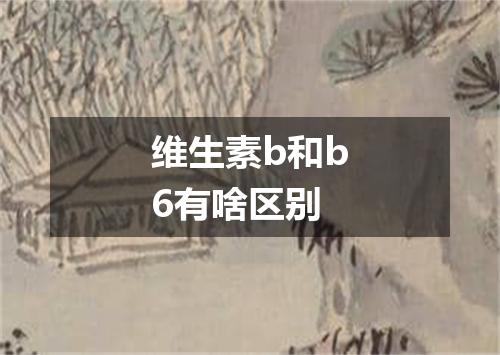 维生素b和b6有啥区别