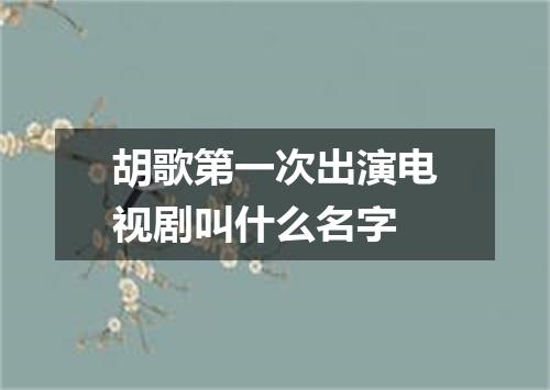 胡歌第一次出演电视剧叫什么名字