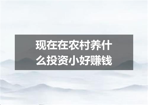 现在在农村养什么投资小好赚钱