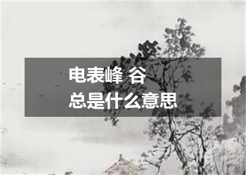 电表峰 谷 总是什么意思