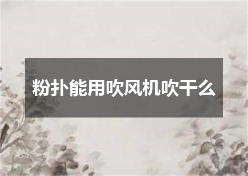粉扑能用吹风机吹干么