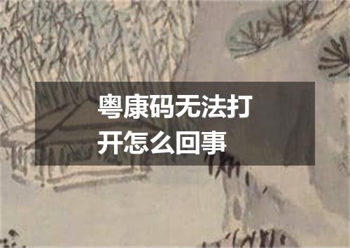 粤康码无法打开怎么回事