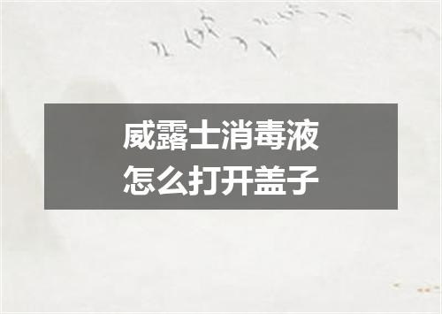 威露士消毒液怎么打开盖子