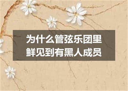 为什么管弦乐团里鲜见到有黑人成员