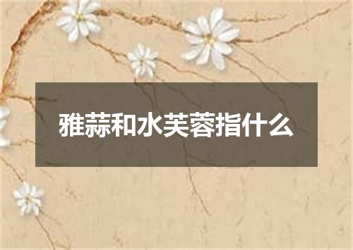 雅蒜和水芙蓉指什么