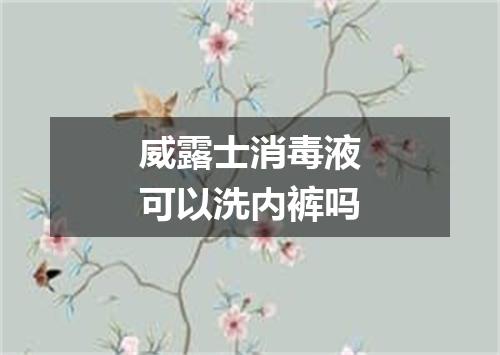 威露士消毒液可以洗内裤吗
