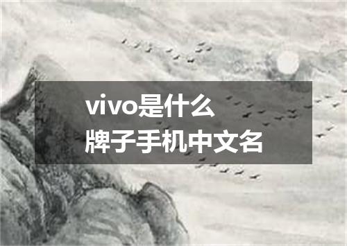 vivo是什么牌子手机中文名