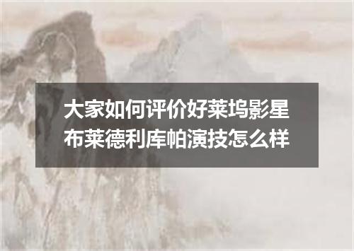 大家如何评价好莱坞影星布莱德利库帕演技怎么样