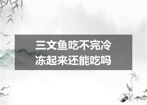 三文鱼吃不完冷冻起来还能吃吗