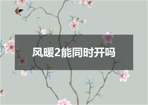 风暖2能同时开吗