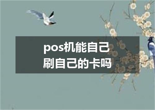 pos机能自己刷自己的卡吗