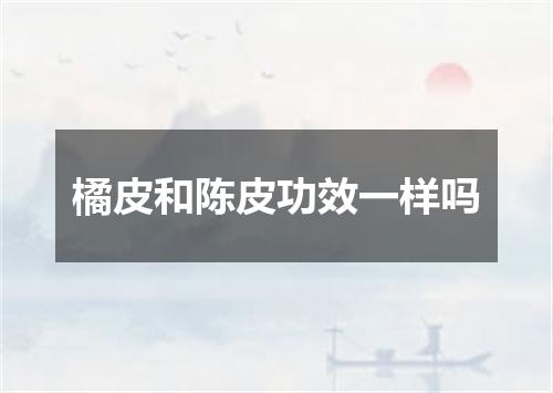 橘皮和陈皮功效一样吗