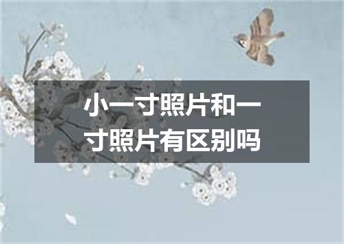 小一寸照片和一寸照片有区别吗