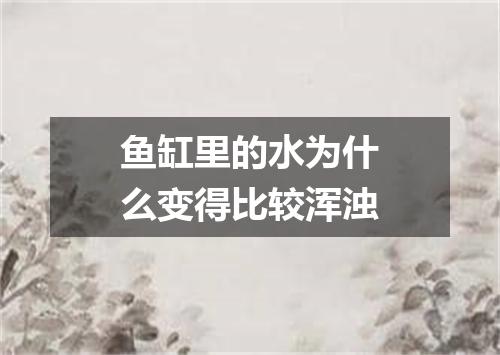 鱼缸里的水为什么变得比较浑浊