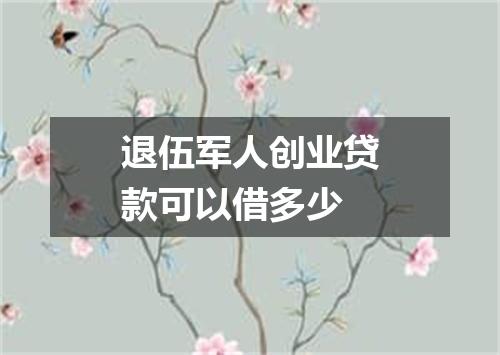 退伍军人创业贷款可以借多少