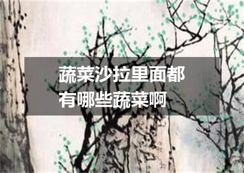 蔬菜沙拉里面都有哪些蔬菜啊