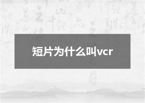 短片为什么叫vcr