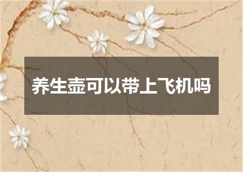 养生壶可以带上飞机吗