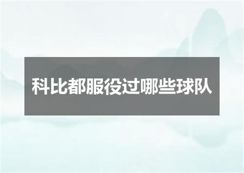 科比都服役过哪些球队