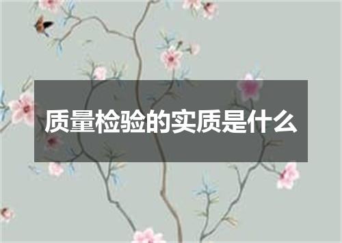 质量检验的实质是什么