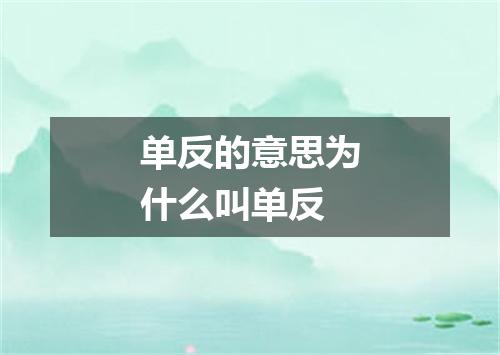 单反的意思为什么叫单反