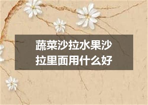 蔬菜沙拉水果沙拉里面用什么好