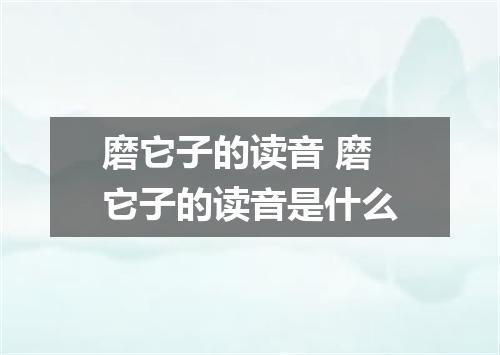 磨它子的读音 磨它子的读音是什么